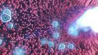 medical animation