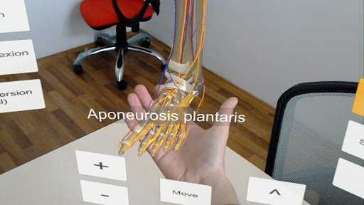 DynamicAnatomy medical application