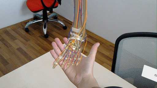 DynamicAnatomy medical application
